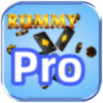 Rummy Pro Apk